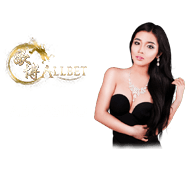 abcasino SLOT235